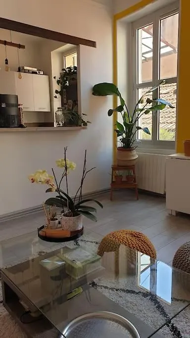 Mon Jardin Secret Marseillais Avec Terrasse Dans Le Quartier Le Plus Cool Du Monde Marseille