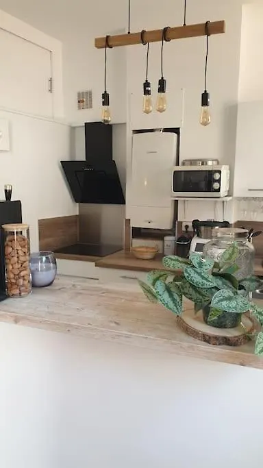 Mon Jardin Secret Marseillais Avec Terrasse Dans Le Quartier Le Plus Cool Du Monde Marseille Apartment